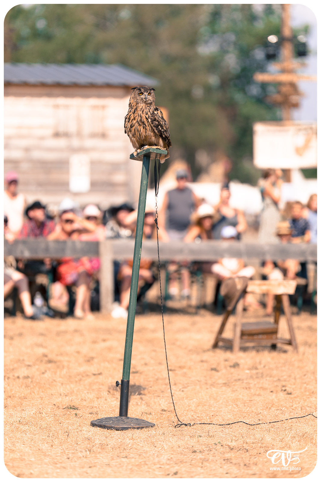 FESTIVAL POW WOW